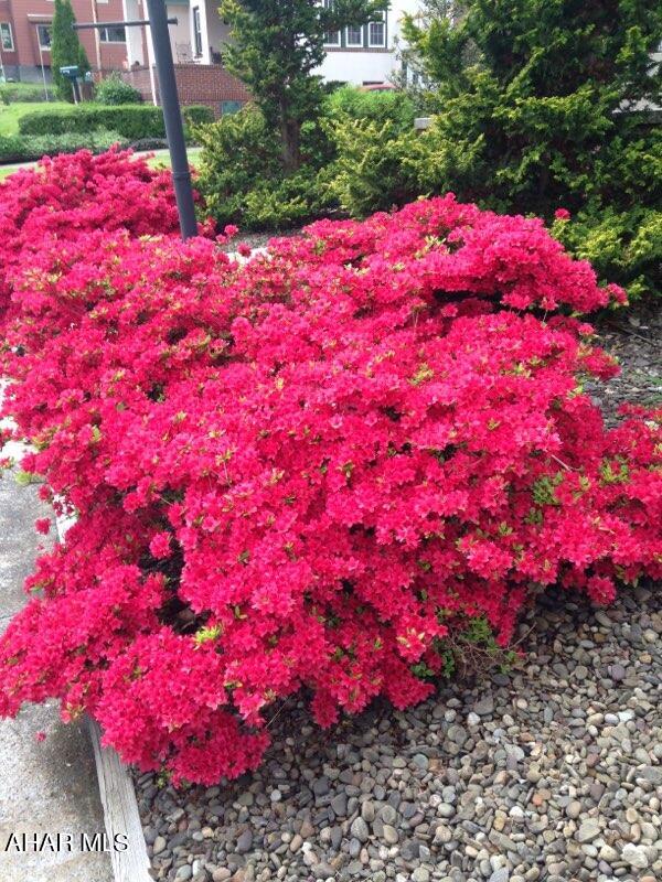 Calvert Hills - Residential