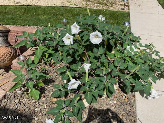 Calvert Hills - Residential