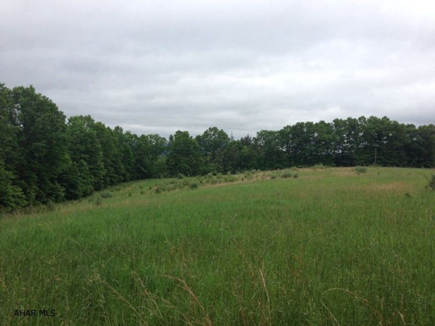 5.41 acre parcel ready to build on! Has been perc tested, has well on property and has been recently surveyed. Enjoy views of sprawling fields and mountains in this peaceful and secluded setting.