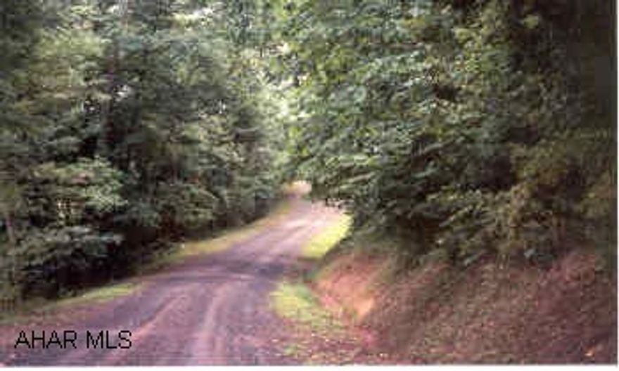 183 +/- wooded acres - Nice Hunting Property or Private homesite (clean & green tax status)