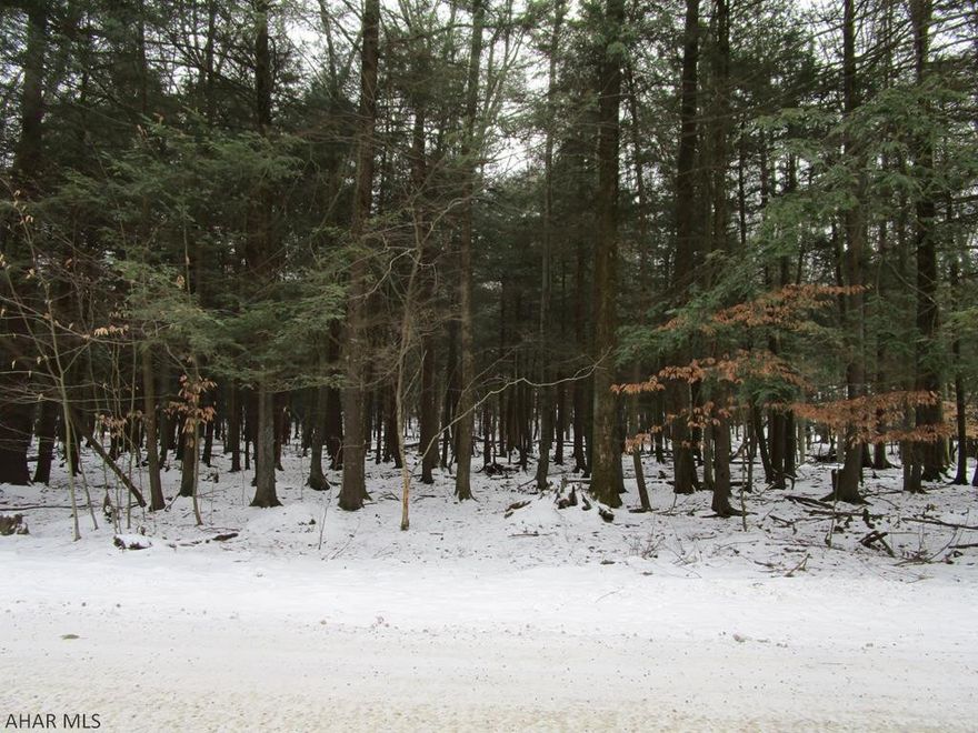 Nice wooded site to build your home, cabin or getaway.  City water and sewer and electricity are at the lot line.  Gated community has security and many recreational amenities.