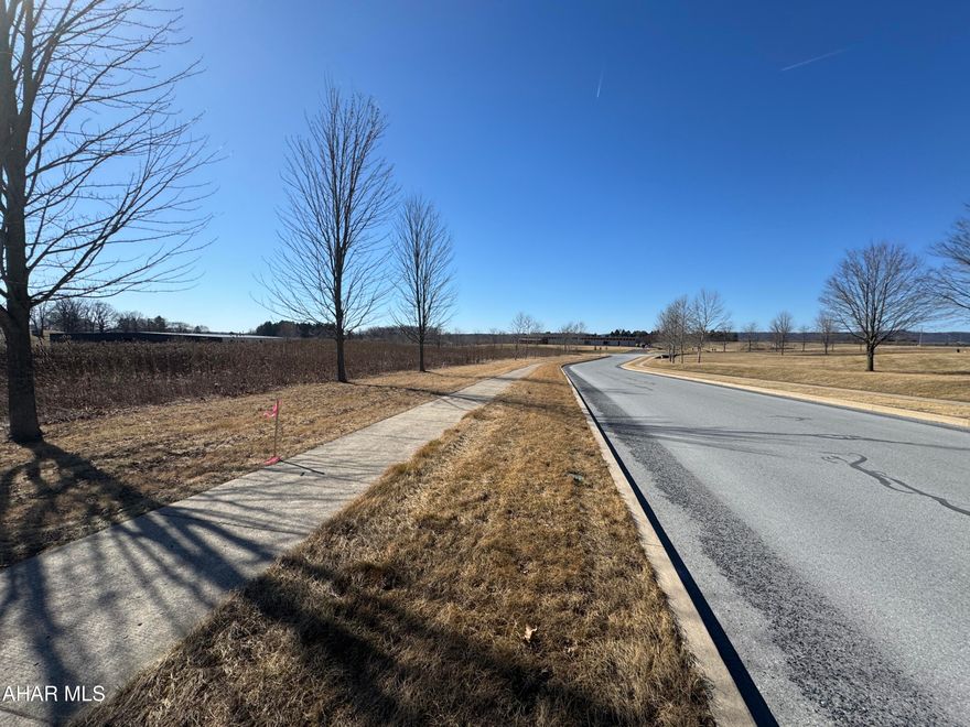 Great opportunity to for your business! 6.614 acres of cleared land in the Benner Commerce Park. Storm water management permit available. Great access and short distance to I 99 interchange. Deed restrictions available.