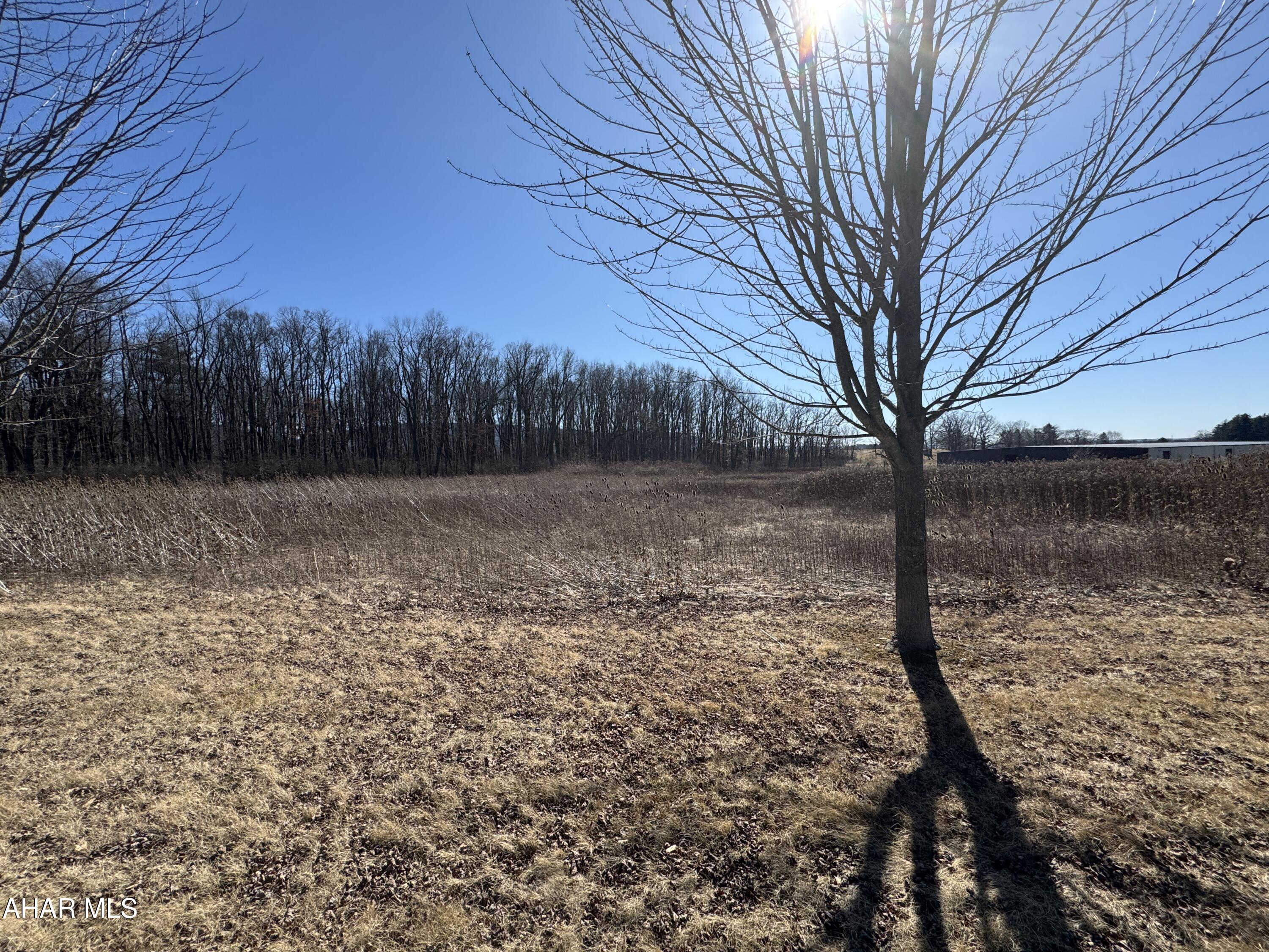 None - Commercial Sale