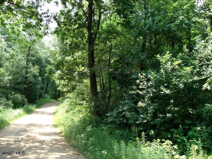 Private woodland setting on 4.8558 acres. Property has 207 plus feet road frontage, surveyed, perced, and close to state game lands. Some restrictions. Located in the Mountain Road Development, LOT #15.