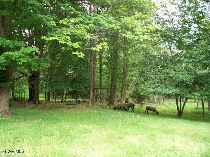 53 acres.  Four fenced in pastures/ fields, some woods.  Beautiful location.  Great for horses, livestock, farming.  House is not habitable. Sewer scheduled to run to property in 2011. 2200  feet of road frontage on Route 866 (Piney Creek Road)