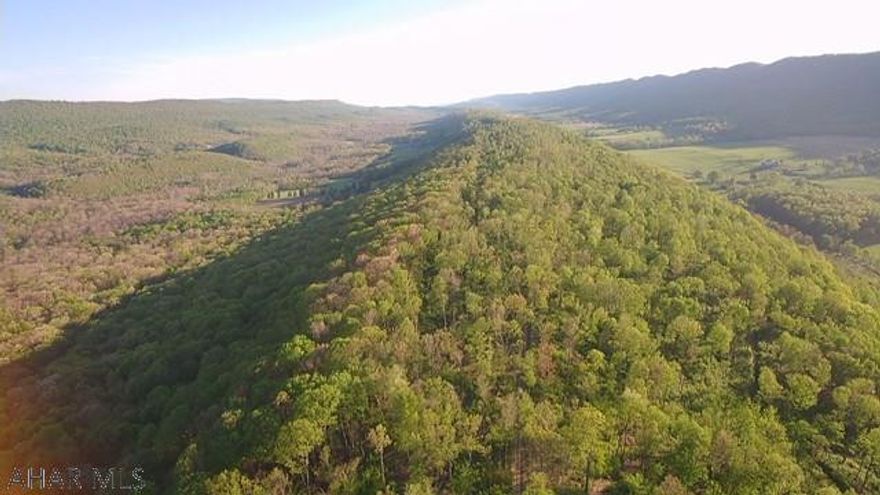 A developer's dream!  A hunter's paradise, or a homeowner's private sanctuary!!  This nearly 1.5 mile ridge of serenity is just 5 minutes south of Bedford and partially borders Omni Bedford Springs Resort.  With breathtaking views of the resort golf course and the sweet root area to the east and Wills Mountain, Kinton's Knob and the Cumberland road area to the west.  It offers numerous building sites across its 160 acres.  With relatively easy access and a road from one end to the other, you can search for the perfect spot for your dream home.  Property is within 30 minutes of multiple state parks and skiing as well as easy access to route US 30, I70, PA turnpike and roughly 2 hr drive to the DC and Pittsburgh areas.