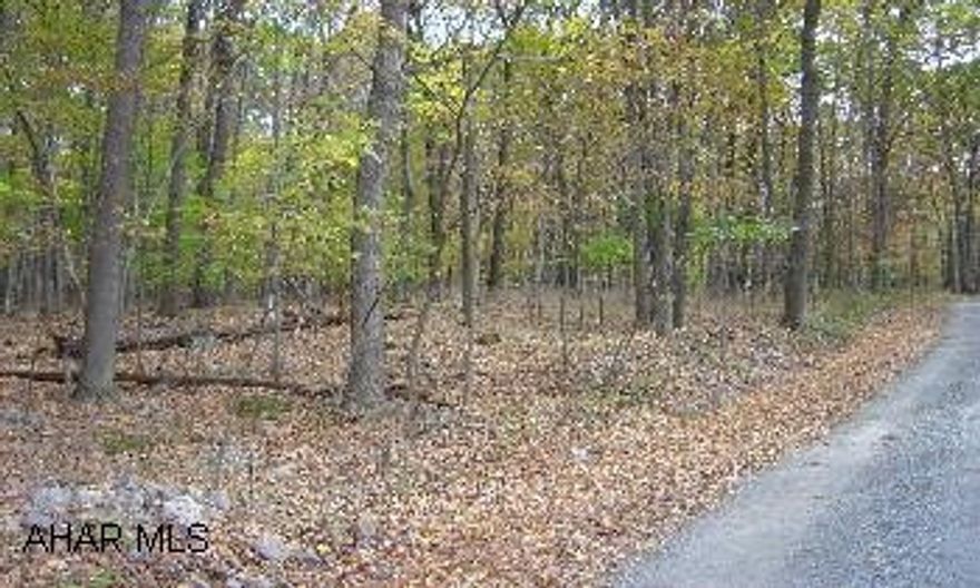 Wooded, 4 acre site, perc approved for sand mound. Beautiful site.