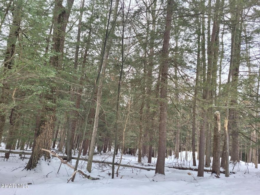 Over a half acre of private wooded land to build your dream home or cabin.  Public water and sewer are available and the tap in fees for both are already paid.  Located in the gated community of Glendale Yearound which is adjacent to Prince Gallitzin State Park / Glendale Lake.