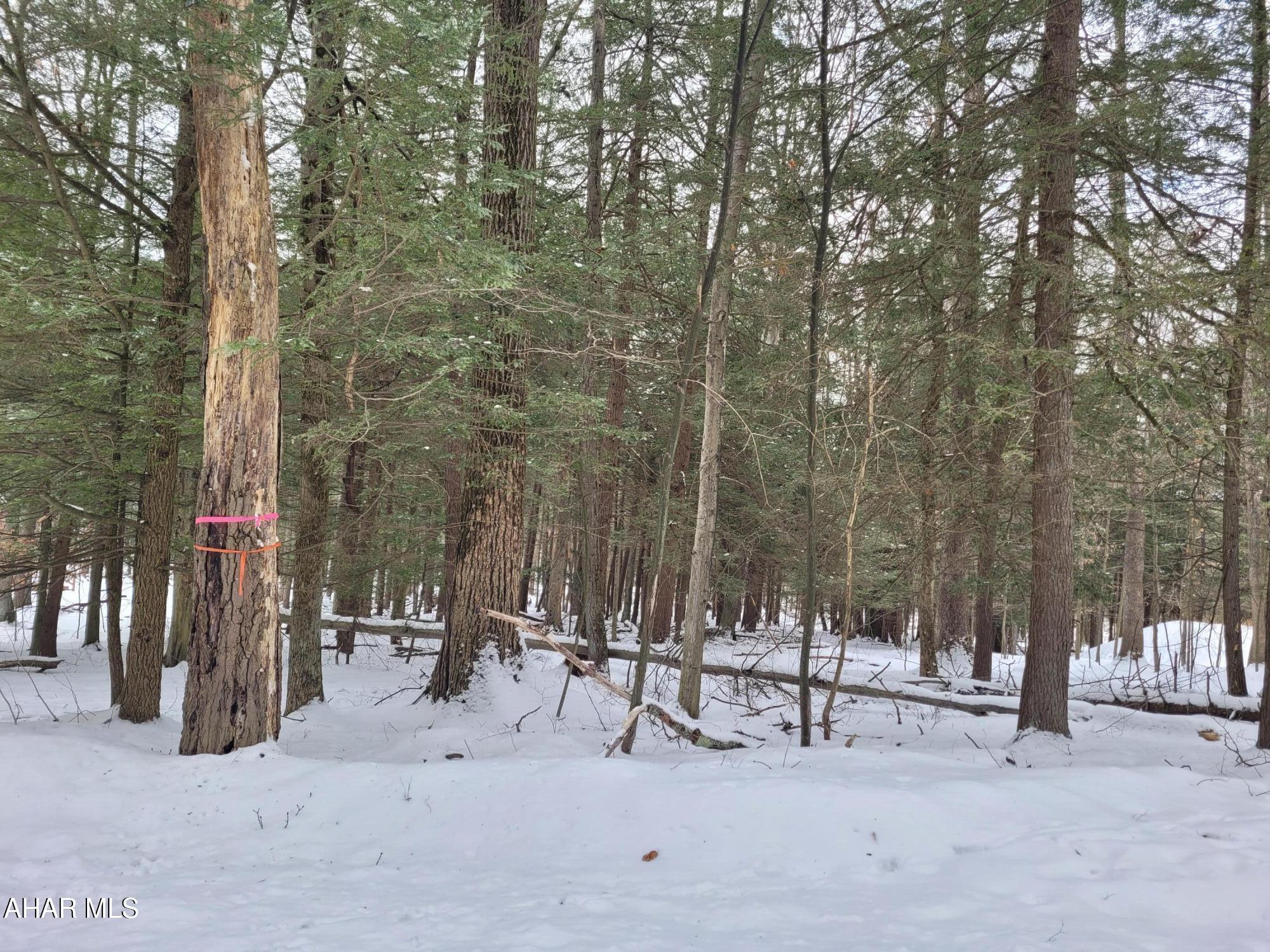 Glendale Yearound - Land