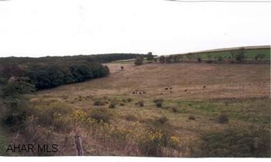 Scenic Shaffer Mountain - Open Fields - Fencing -- some Woods -- Small Stream ----Mountain Views!!!  $3,000. toward Buyer closing costs! $3,000. towards buyer closing cost.