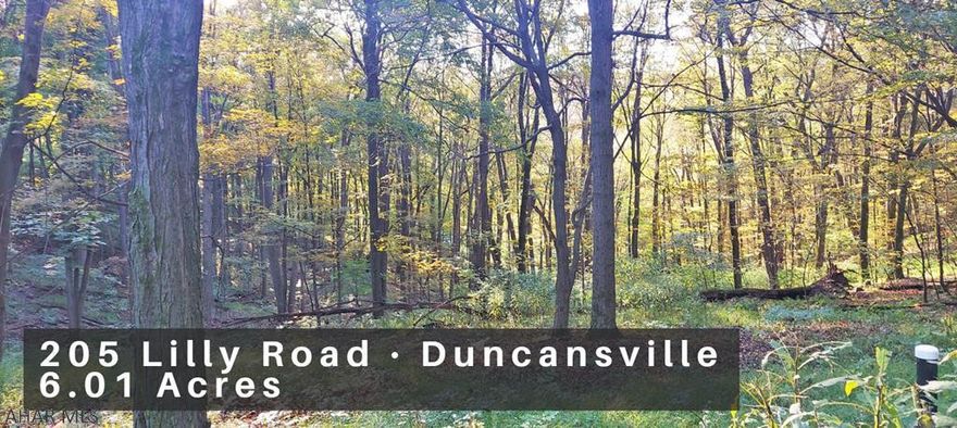 WONDERFUL (mostly) WOODED 6 Acre lot in Juniata Township, Hollidaysburg School District! This could be an ideal location for a *BRAND NEW* home or a great getaway spot!  Property formerly had a trailer on it and has a 1000 gal septic tank & private well already there. It sits close to State Game Lands. Great mountain property just far enough out for peace & quiet, but still easily accessible from a paved road!