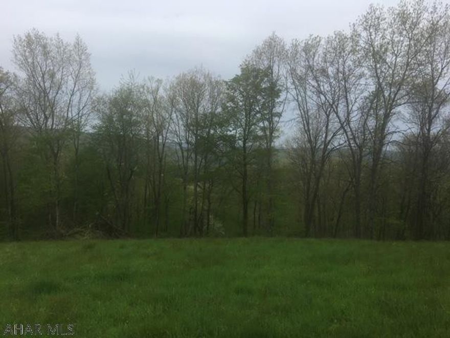 18.56 acres with a birds eye view of Tyrone. Prime location to build!