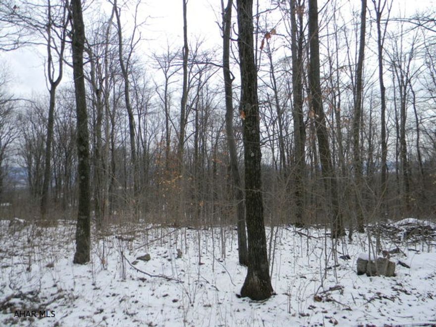 7.9 wooded acres w/perc. test completed. Township road frontage. Close to all major roads but private. Great building site!