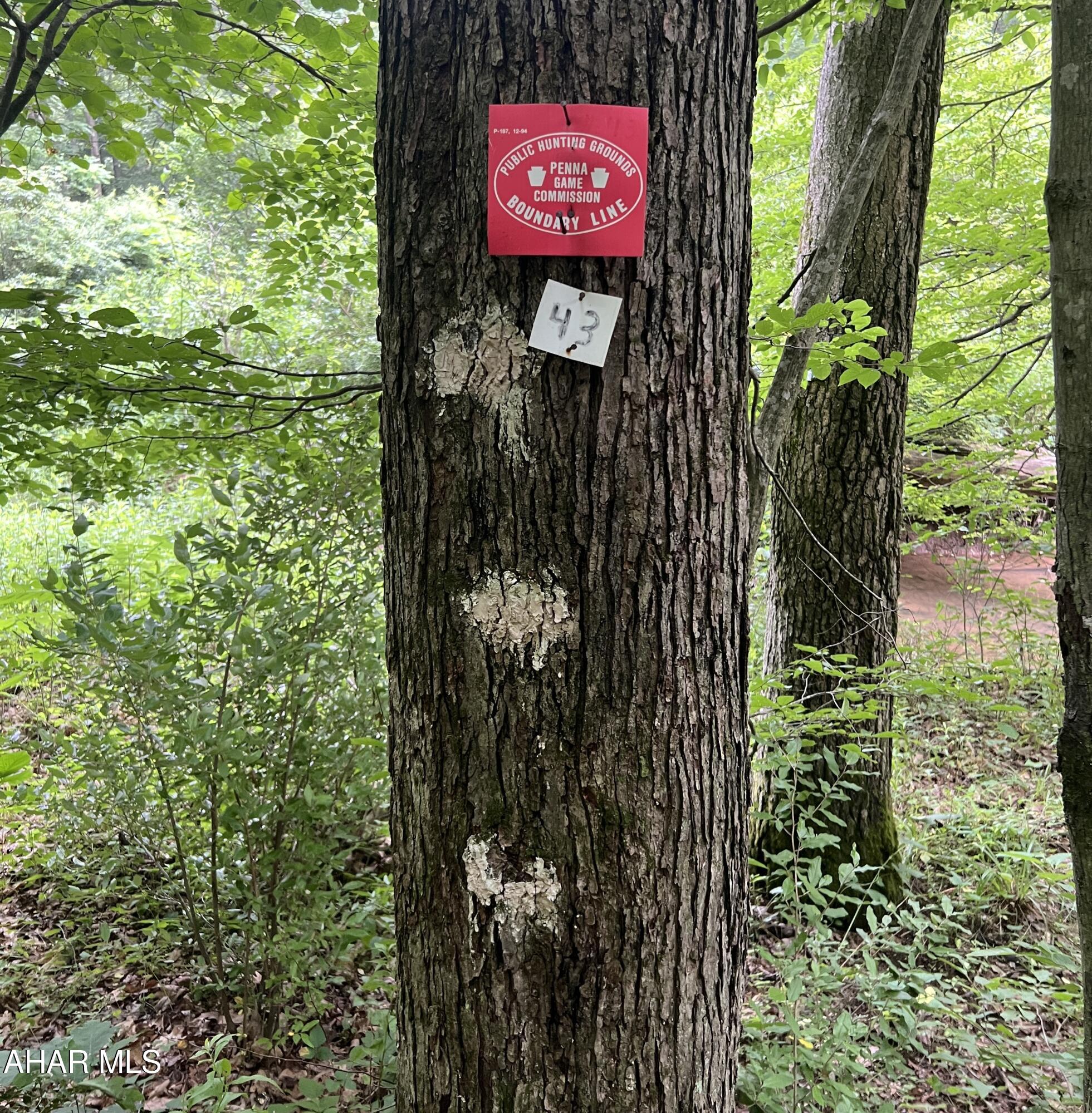 None - Commercial Sale