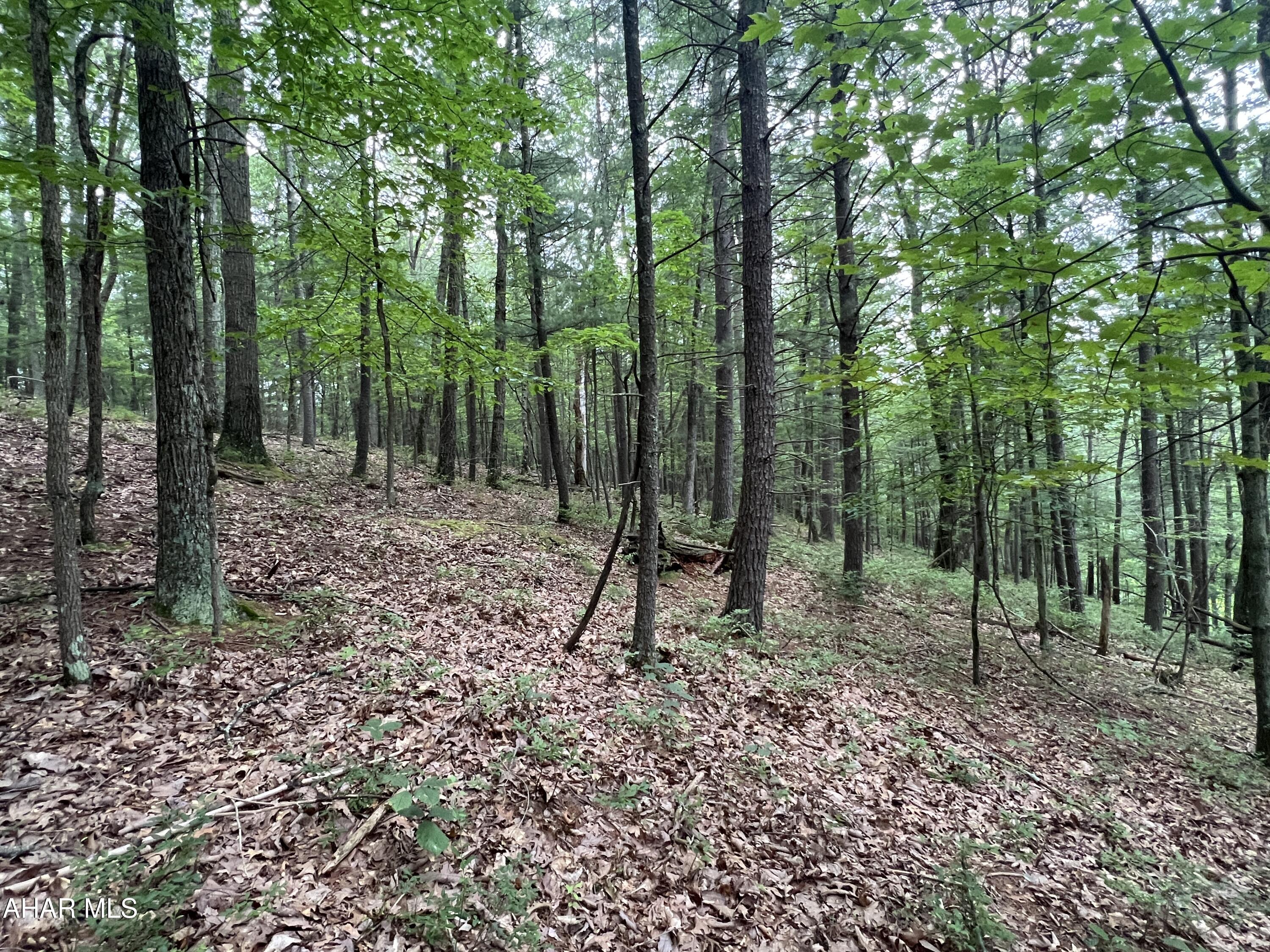 None - Commercial Sale