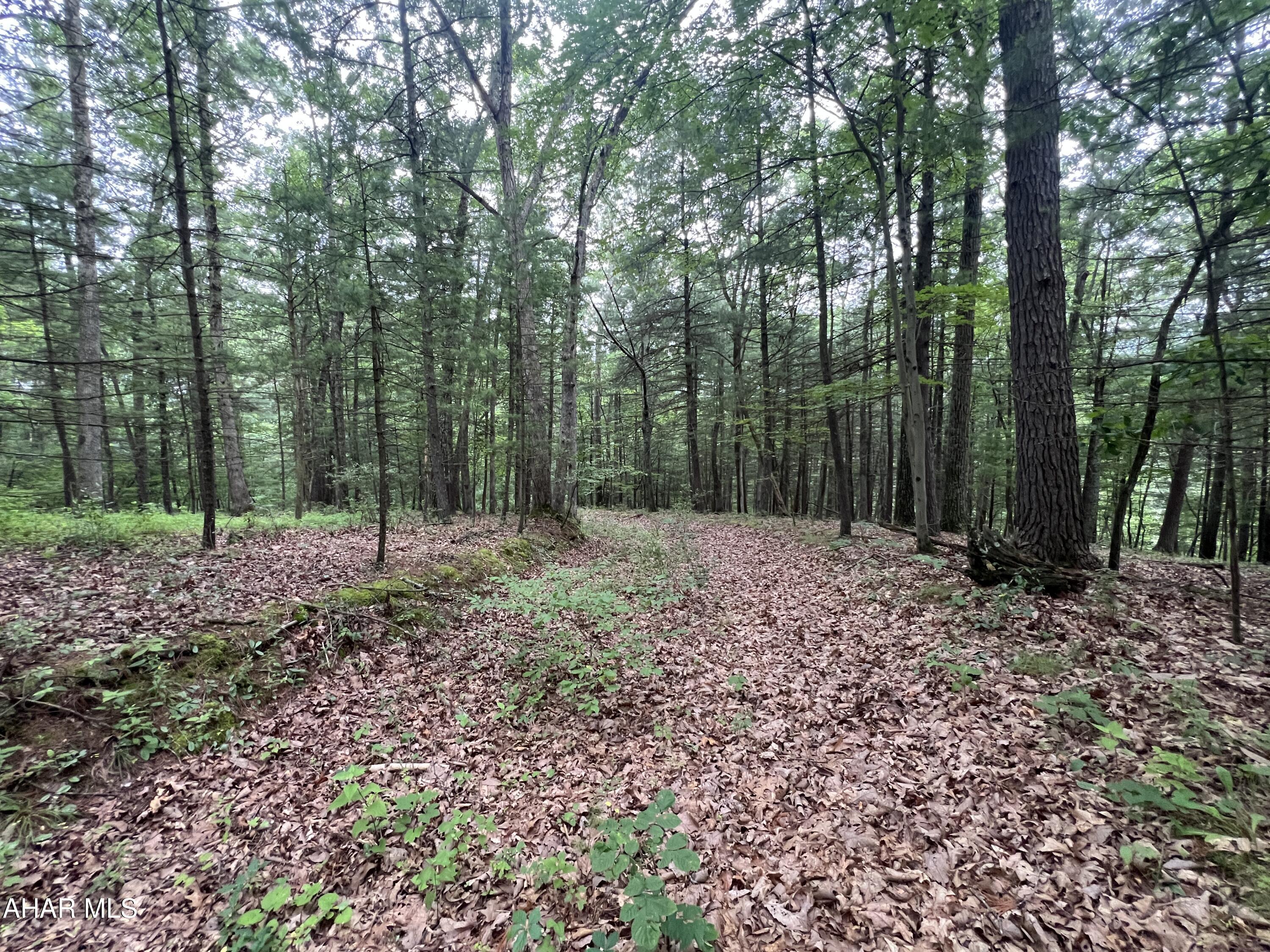 None - Commercial Sale