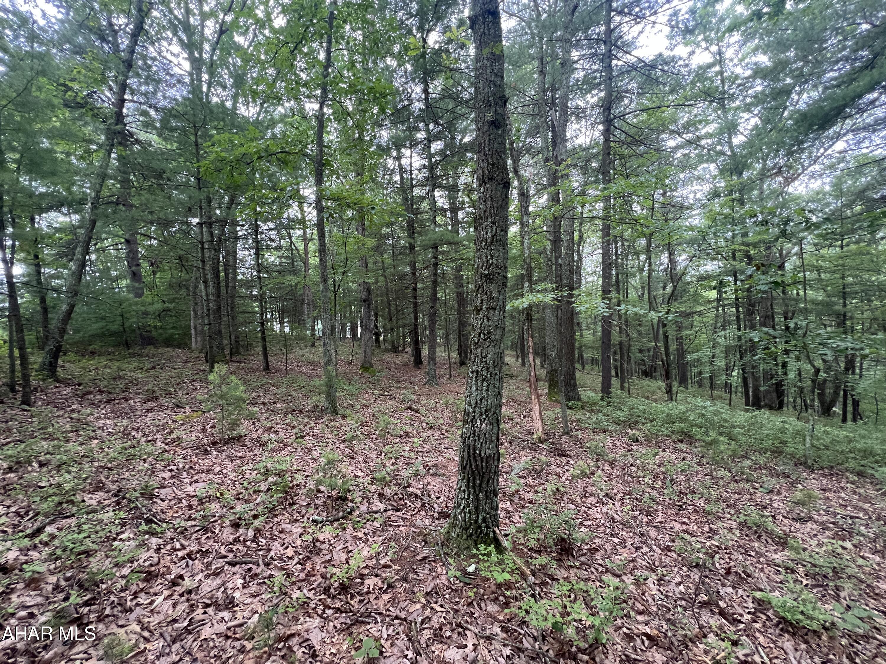 None - Commercial Sale