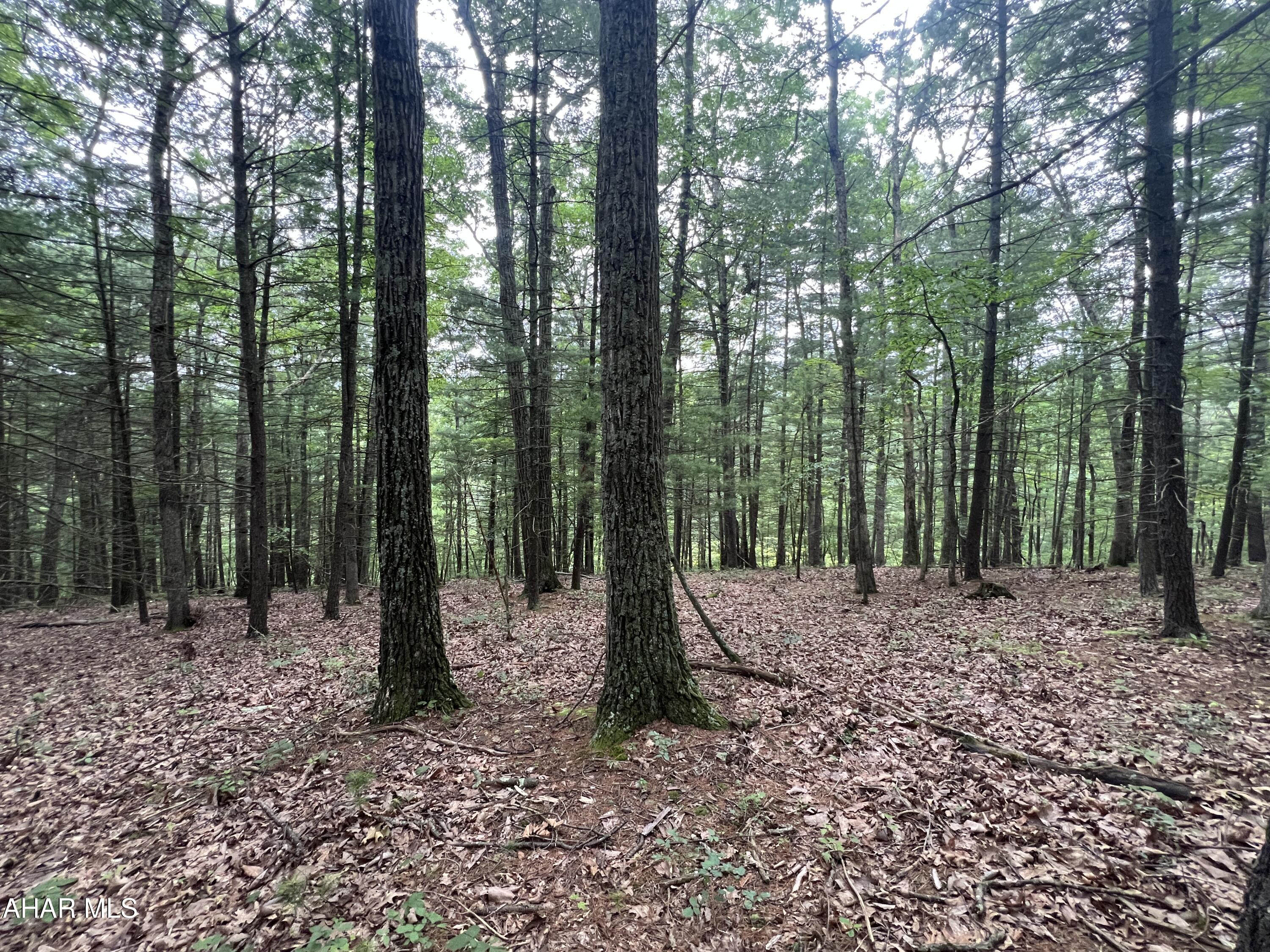 None - Commercial Sale