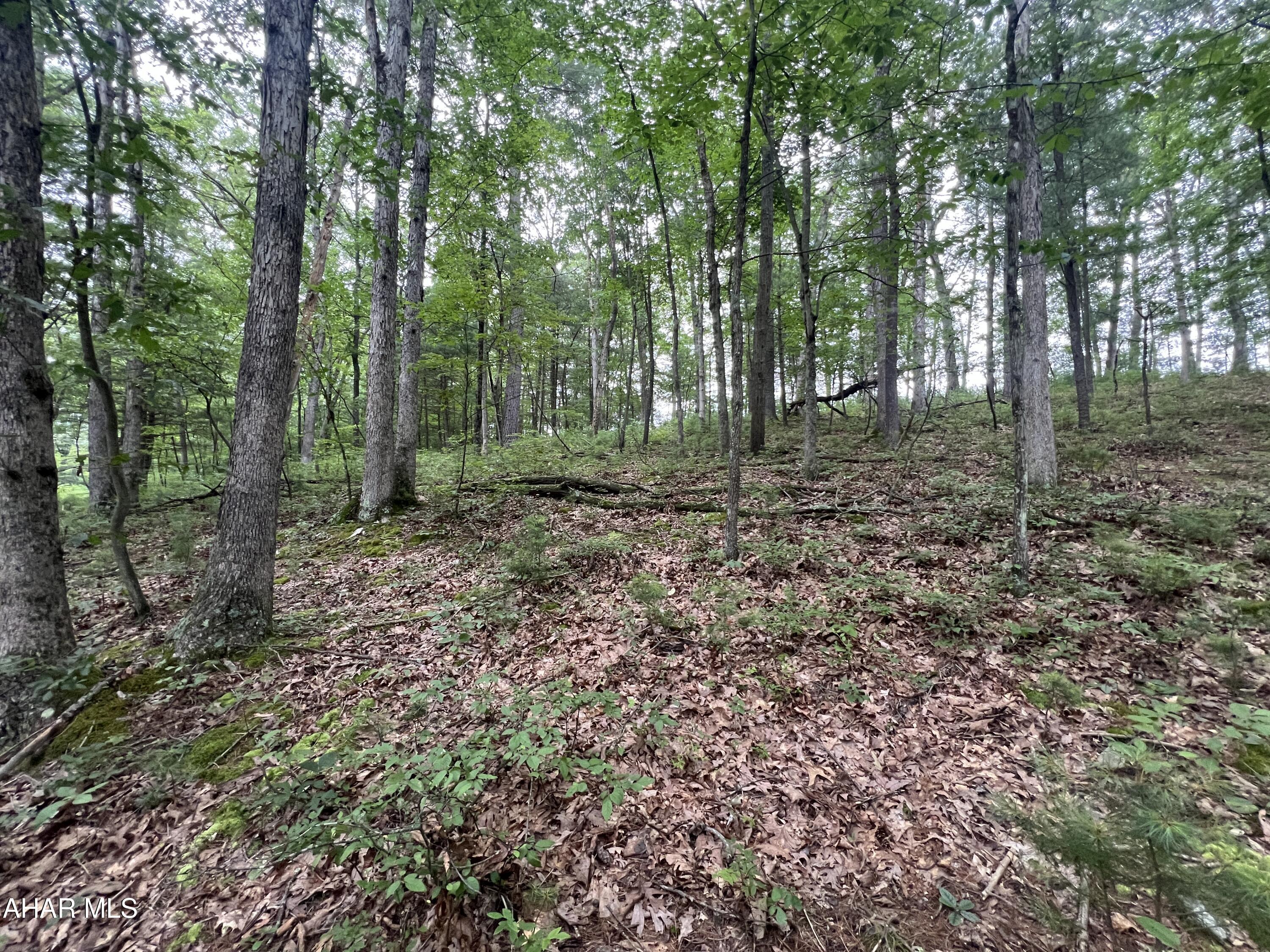 None - Commercial Sale