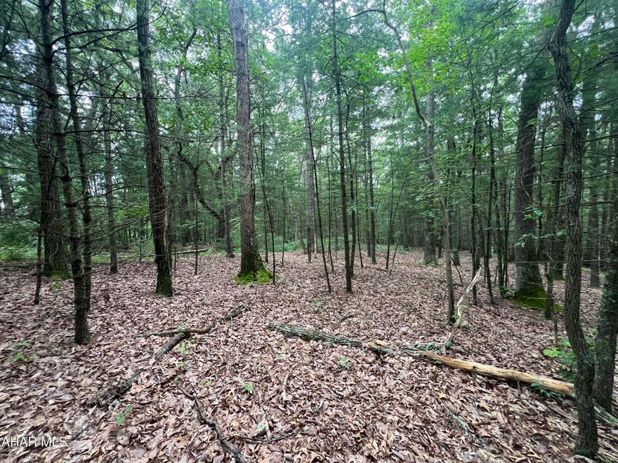 21+/- Acres bordering PA State Game Lands. Whether you're looking to build a getaway or a full-time residence or just looking for a recreational property, this location offers endless possibilities for hunting, riding ATVs and horses, hiking, and exploring the great outdoors.