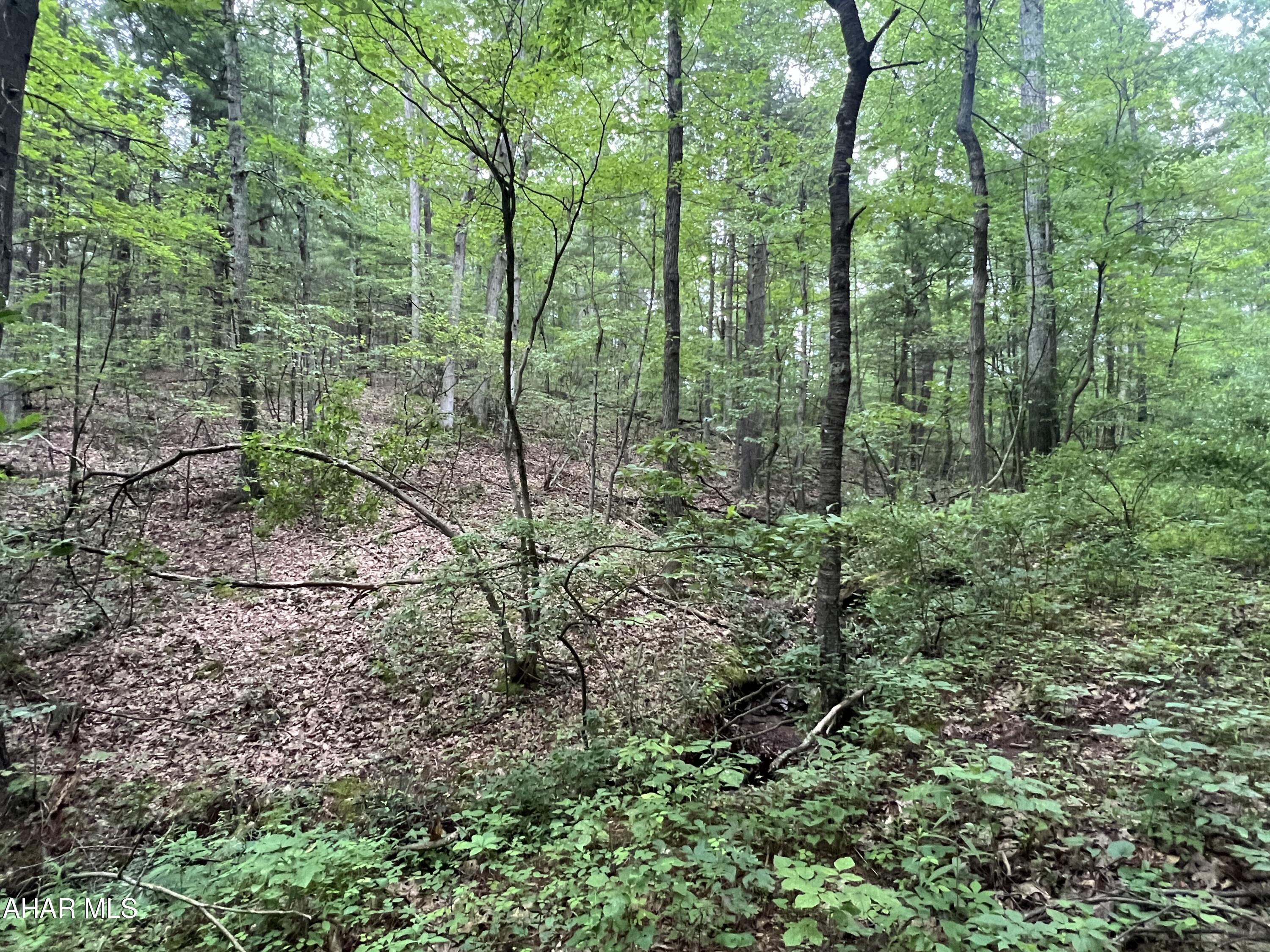 None - Commercial Sale