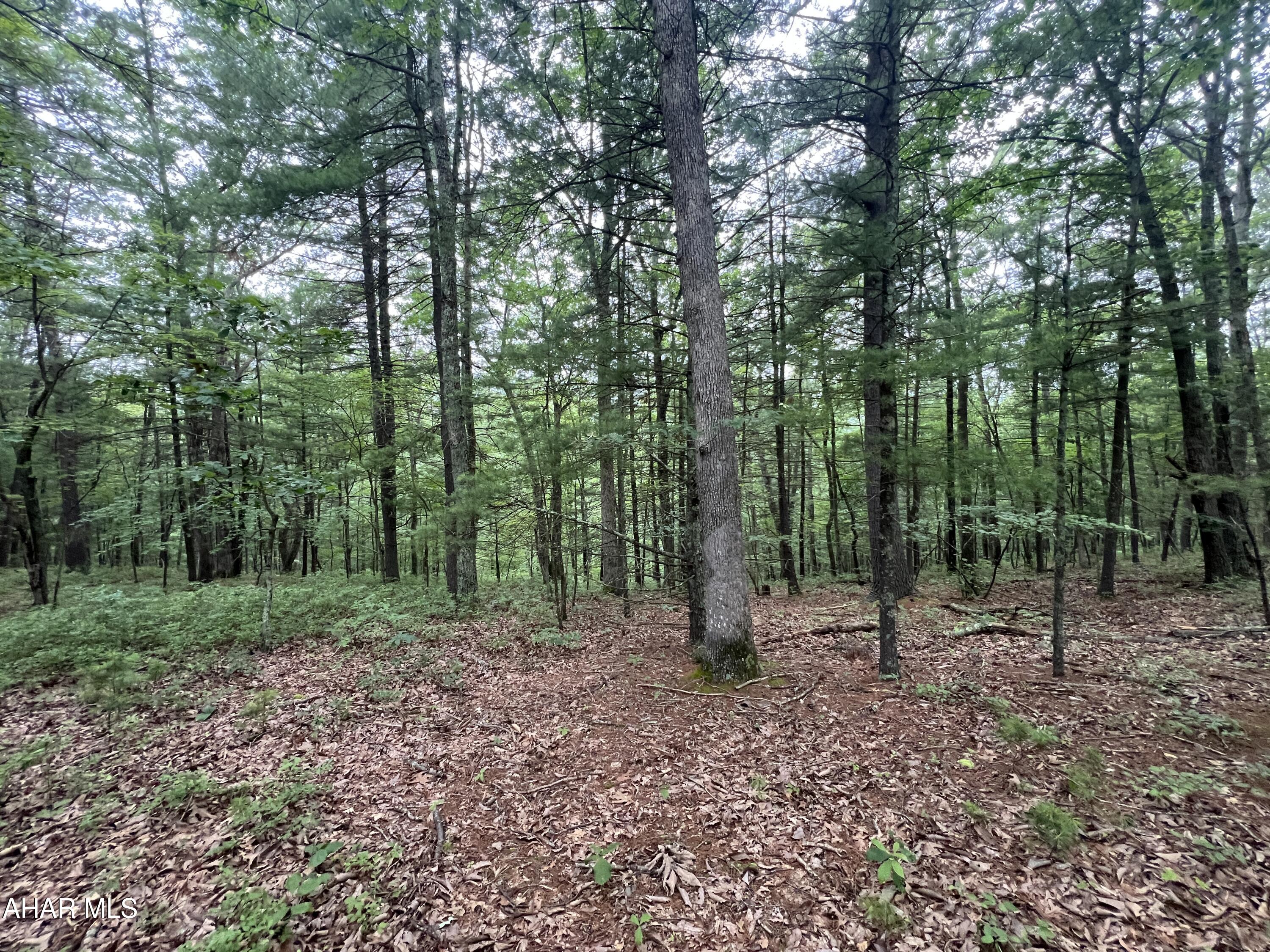 None - Commercial Sale