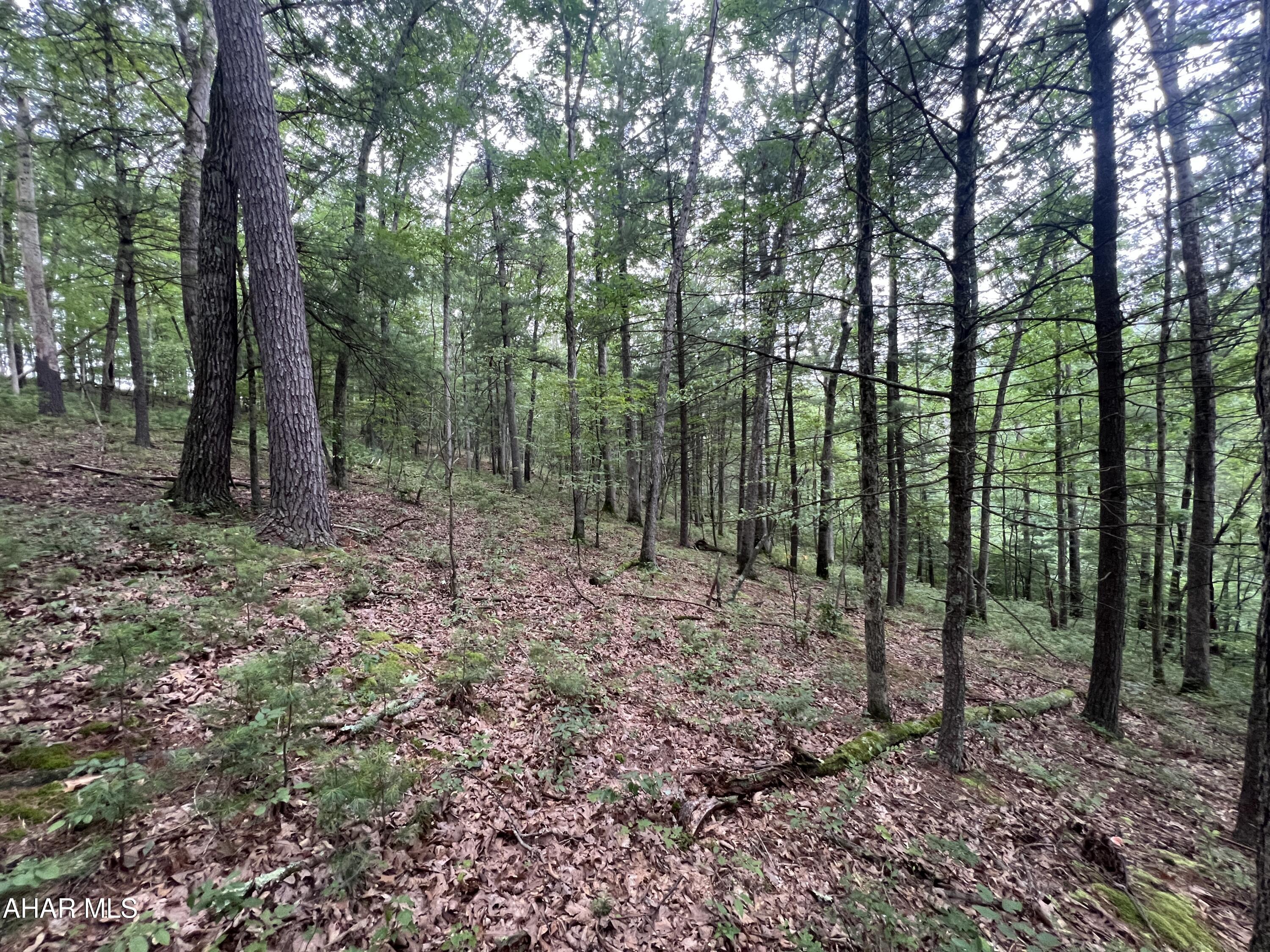 None - Commercial Sale