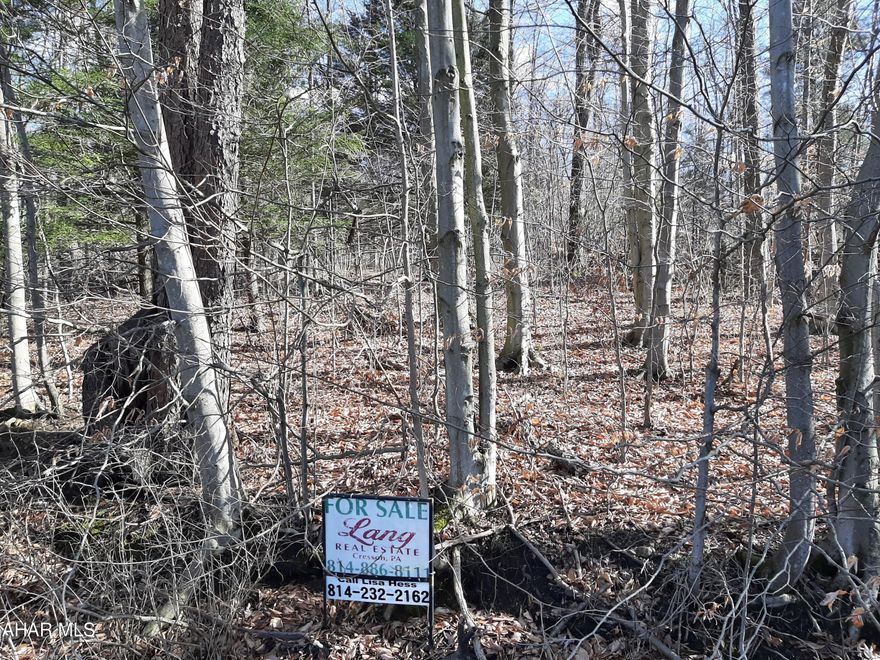 Perfect spot for your new build! This gentle sloping land has plenty of room to choose the perfect spot for your new home. Tucked away near Cresson Lakes is a quiet location but close to amenities. Call for your tour today!