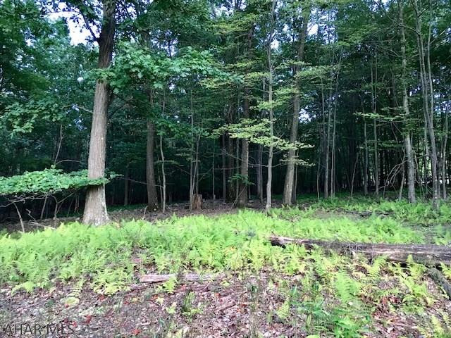 Bellemeade - Residential