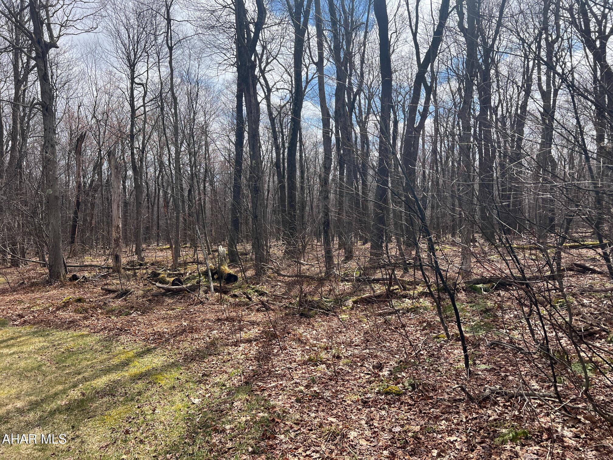 Blue Knob - Commercial Sale