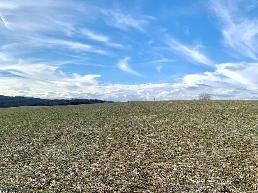 Looking for vacant land with endless opportunity? Be close to all the amenities but on the outskirts of town. 14.483 open and rolling acres that is conveniently located to the PA turnpike, I99 and with in a short distance to the historic downtown Bedford, restaurants and Shawnee State Park.  With the proper sewage and water planning approvals, this lot would be ideal for your next residential building site that offers nice views or for a commercial site.  Lots of opportunities with this nice piece of property.