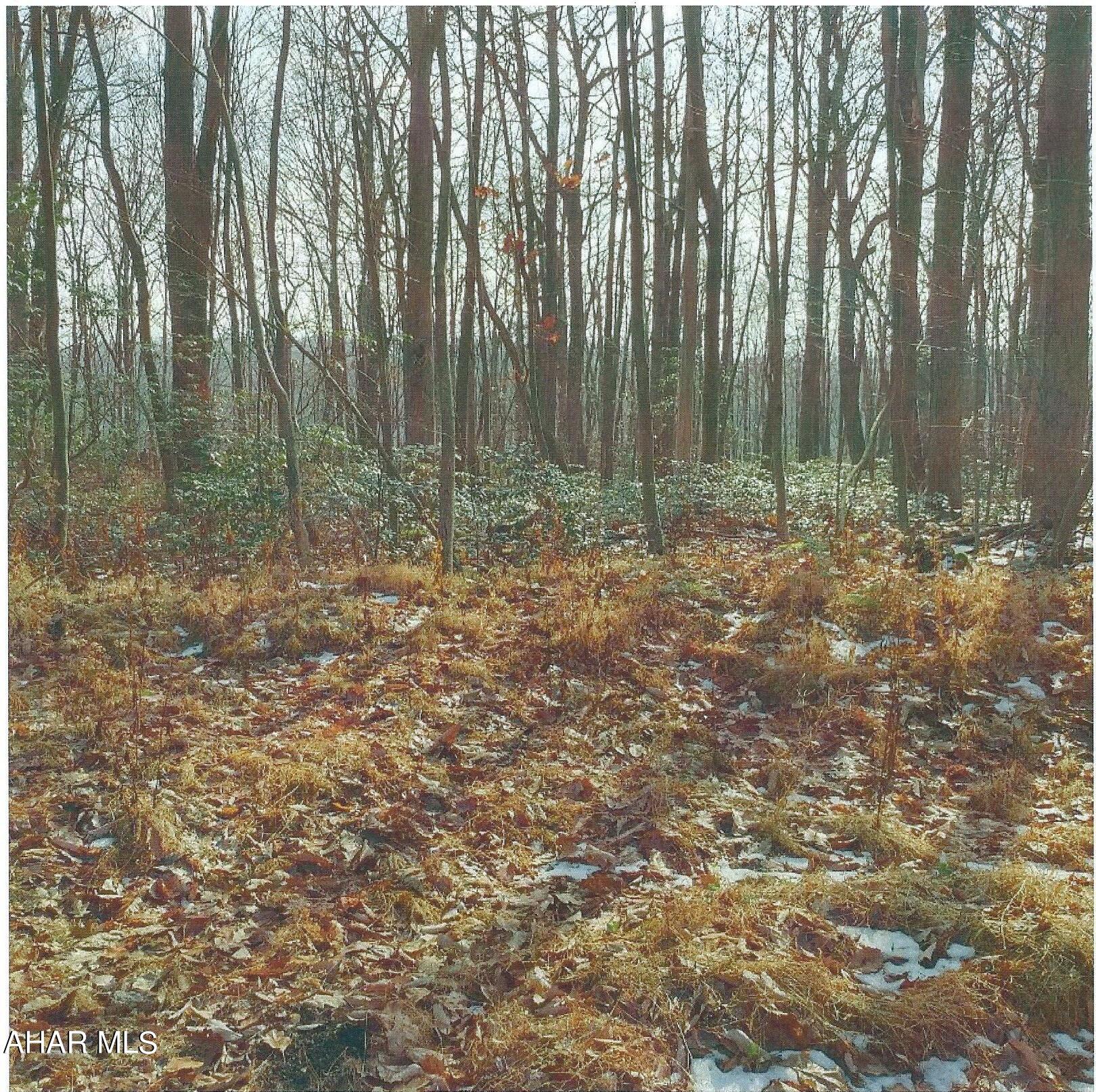 None - Commercial Sale