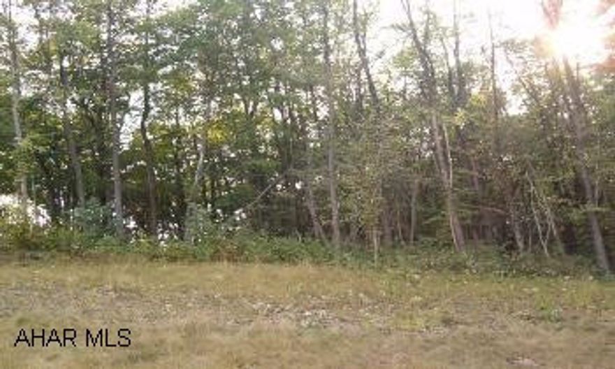 .43 acre lot w/city water & sewer in Bellwood. Wooded, quiet township street. No mobile homes. Seller must approve plans.