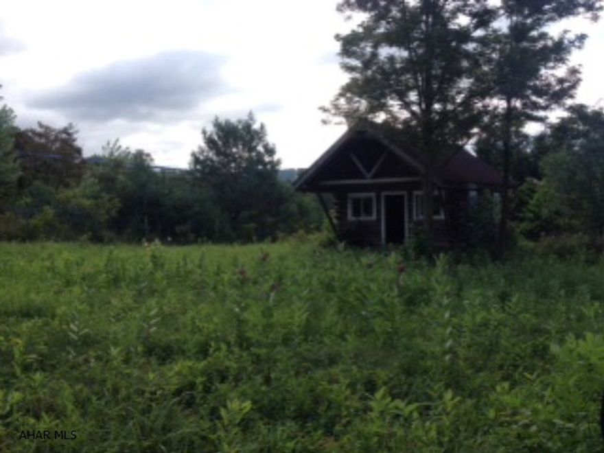 Cabin on irregular lot. Needs work. No utilities.
