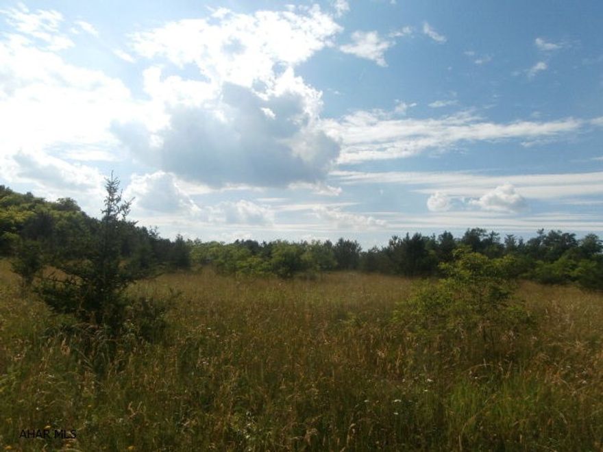 93.9 acres with a 2008 doublewide on full foundation. To settle estate. House has some cat damage. Pole building towards rear of site. Old farmhouse and outbuilding(no value).