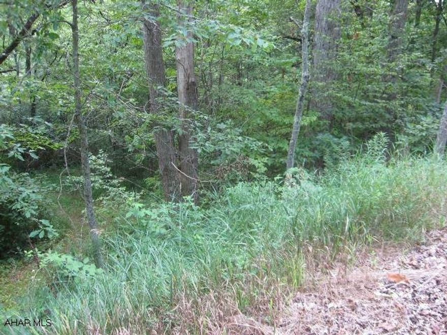 Located in a lovely rural setting in Monroe Township.  This wooded 1.829 acres features a seasonal stream.