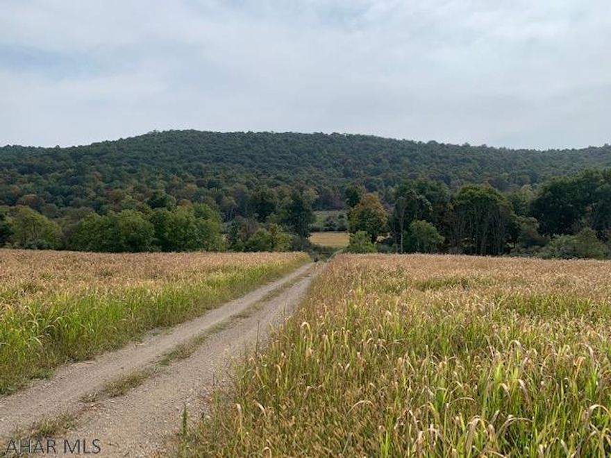 Hunter's Paradise, turkey, bear, deer and much more!!  Trails, views, wooded mature timber. Enrolled in the Clean and Green program. Located in Southern Bedford County with in minutes to I-68 MD, Rock Gap Resort and I-70 and the PA turnpike I-76 approx. 2 hours to DC, Baltimore, Pittsburgh, Harrisburg. Deeds for all parcels will have a designated ROW.   Lot 2 24.85 ac $114,000. building lot, perk approved for a single family on-lot septic system and surveyed. Lot 3 is 14.2 at $91,000 building lot, perk approved for a single family on-lot septic system and surveyed. Lot 4 is 76.46 & 91.15 acres  combined wooded unimproved property surveyed totaling 167.61 acres for $340,000. Each of these LOTS can be purchased separately taxes are approx.