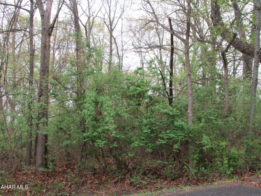 Beautiful wooded building lot on cul-de-sac. .55 acres, public sewer, gas, electric, cable - underground, must drill well.