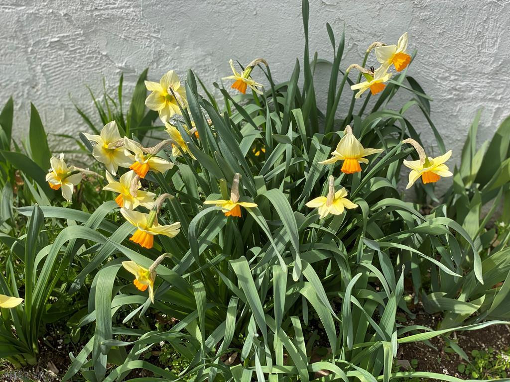 Logan Township - Residential