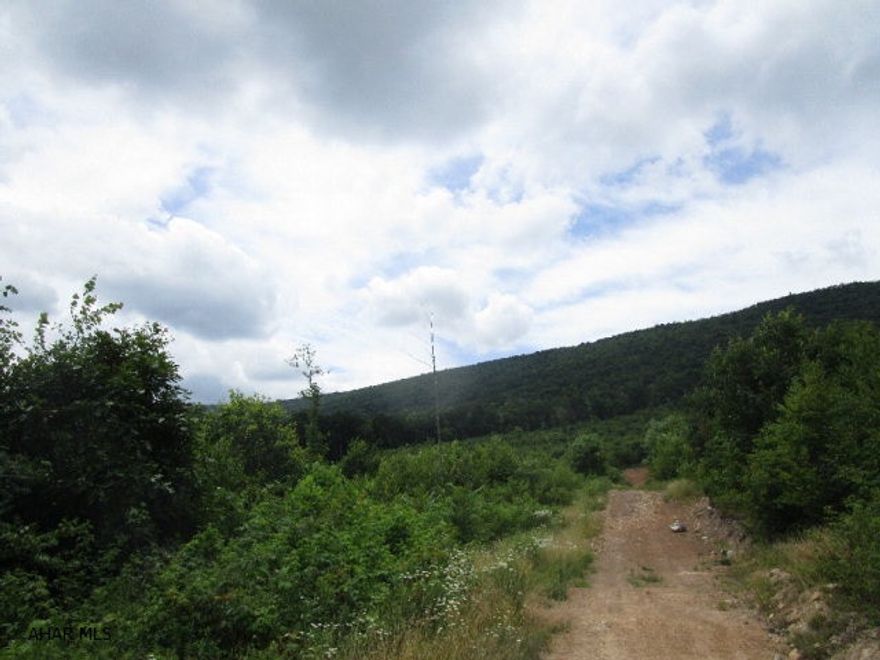 This property consists of 186.7 acres of mostly mountain land that adjoins PA State Game Lands.  There are two smaller fields that are used for crop production and remainder is used for recreational purposes only.  No public road frontage but a deeded right-of-way will be provided by seller.