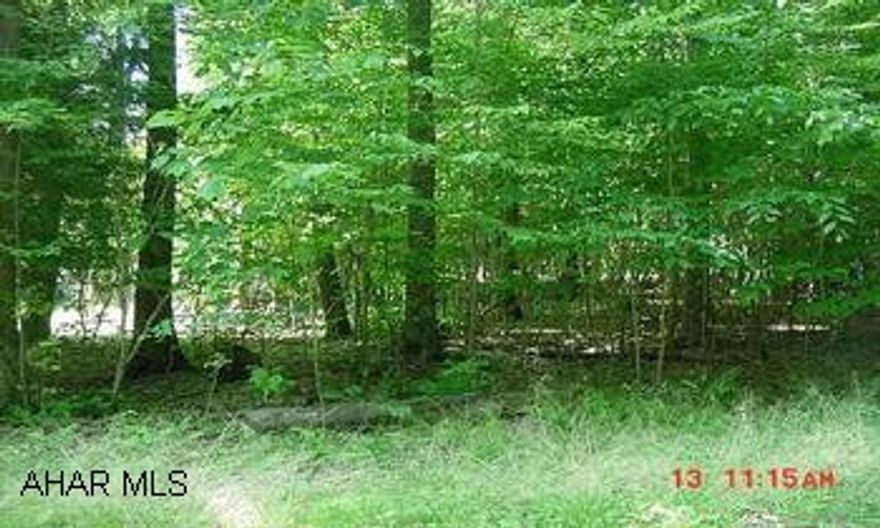 Vacant campsite in Glendale Yearound Nice level campsite in GYR.  All the amenities of GYR, minutes for Prince Gallitzin State Park, State Game Lands & Rock Run Trails