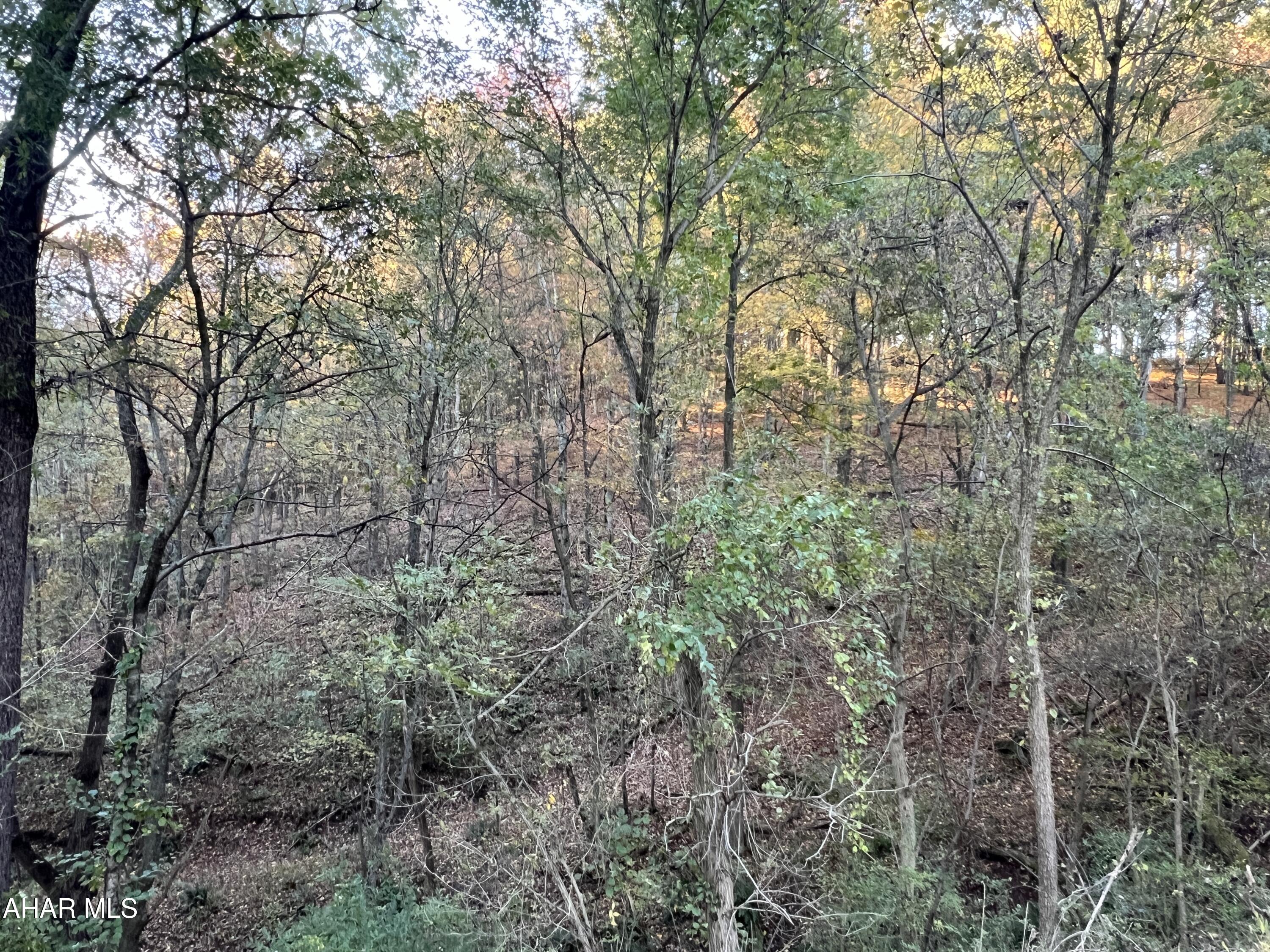 Cliffside Acres - Commercial Sale