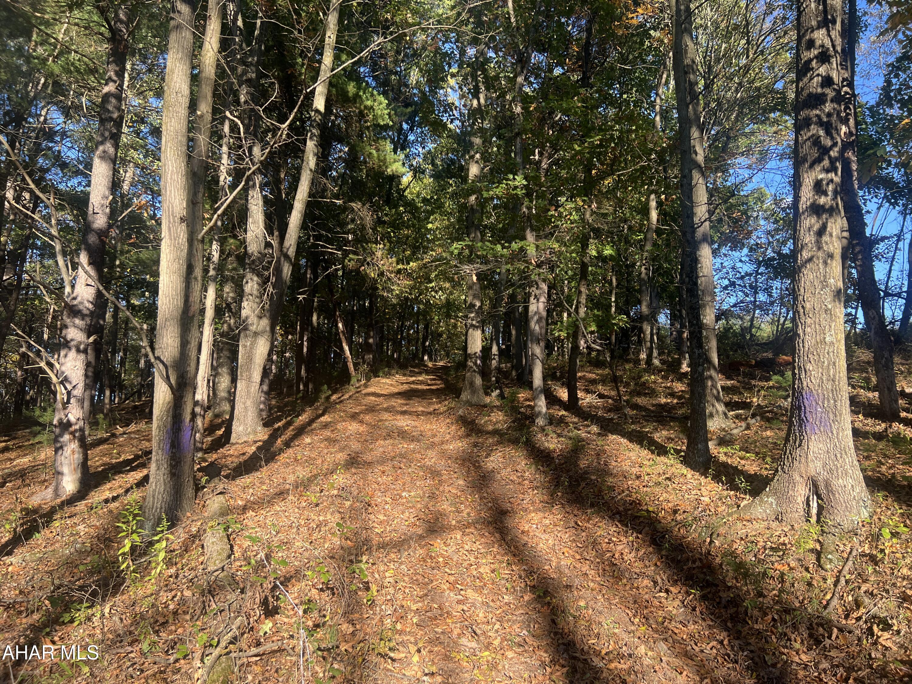 Cliffside Acres - Commercial Sale