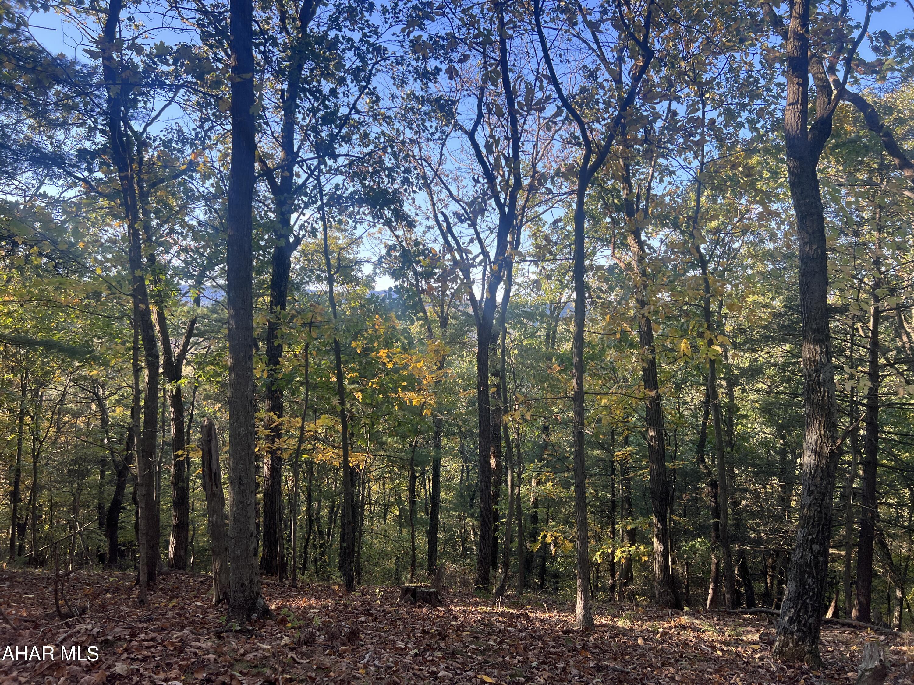 Cliffside Acres - Commercial Sale