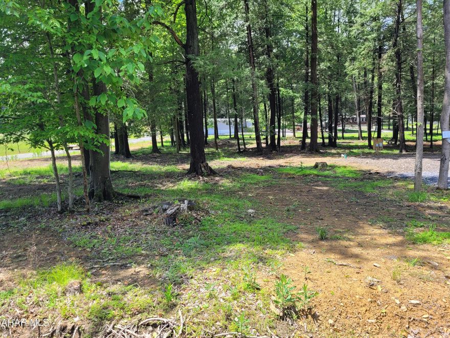 If you are tired of hauling your camper and setting it up each time you want to camp, take a look at this year round campsite.  Almost a fifth of an acre of woods with public water and sewer.  Come at your convenience and stay as long as you want.  

Glendale Yearound is a gated community with a clubhouse, swimming pool, tennis/basketball/volleyball courts, playgrounds, dog park and planned activities.
We are adjacent to Prince Gallitzin State Park / Glendale Lake and six miles from Rock Run ATV Park.