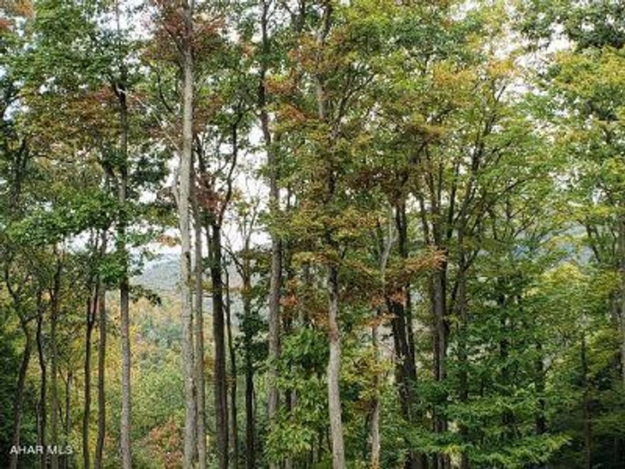 Beautiful wooded .28 Acre Lot in Spruce Knob Association on Blue Knob Mountain.  Enjoy the 4 seasons & build your own get-away dream home. J-585