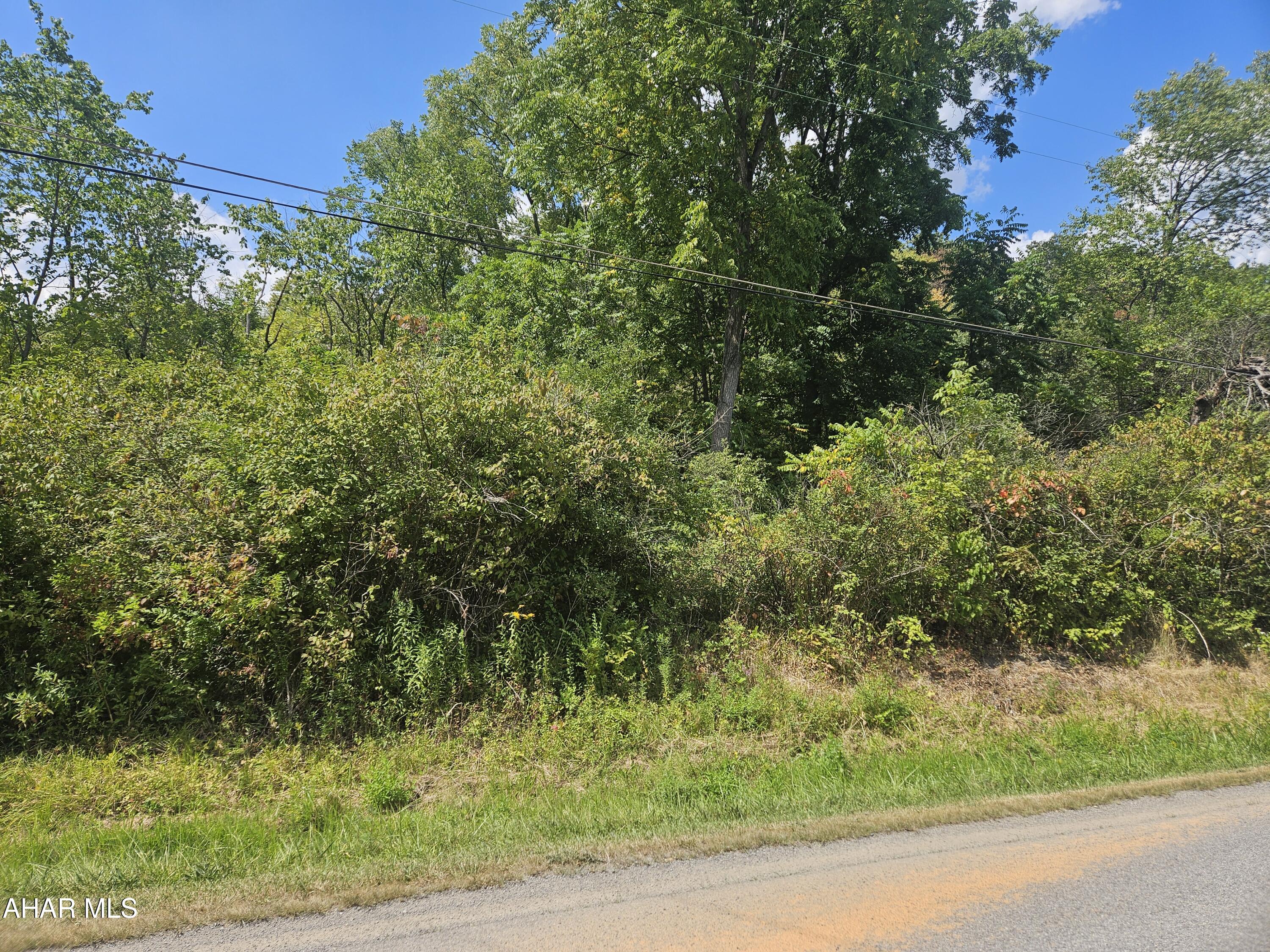 Antis Township - Commercial Sale