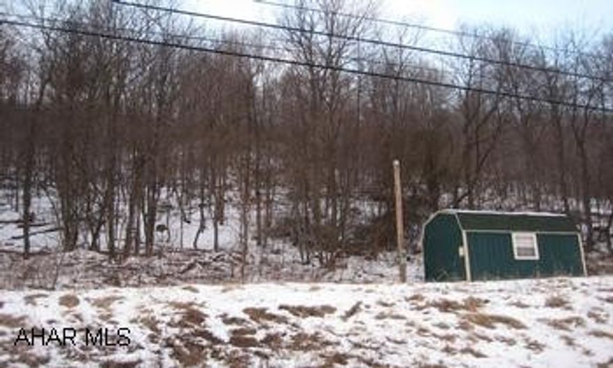 Approximatley 40 acres of property located by the Bedford Springs Resort!!!!   About 10 acres of open land on top of ridge perfect to build a home to enjoy the picturesque views that only Bedford County has to offer.  Call Lacy Today!! LOCATION!  LOCATION!  LOCATION!  This 40 acres of partially wooded land is located by the Bedford Springs Resort.  Offering about 10 acres of open land atop the ridge; a great location to build a home to overlook the picturesque scenery that only Bedford County has to offer.  Enjoy the wildlife and nature with the tranquility of having no neighbors; yet, being close enough to all the amenities downtown has to offer.  This is a great investment at only $180,000!  The seller is motivated for a quick sale to bring ALL offers!  Call Lacy today, because this won't last long!!!