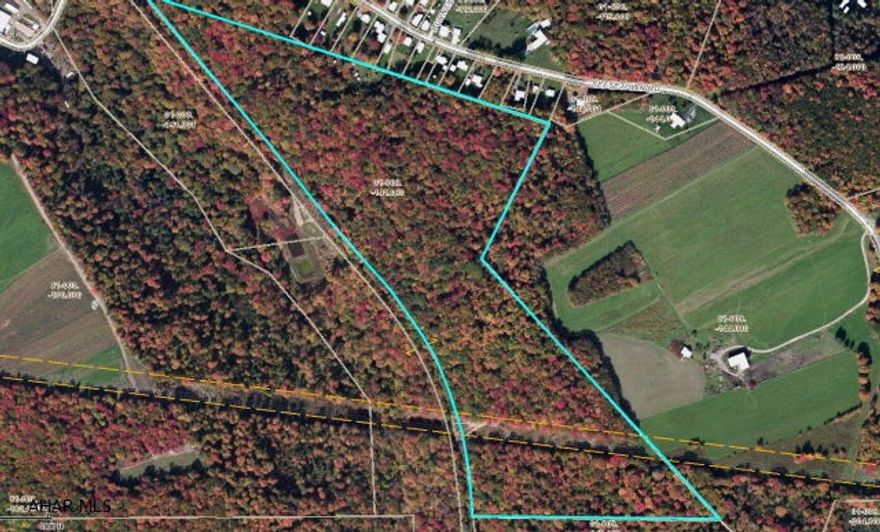 This property borders public sewer and would make an excellent location for a home or camp.  The timber is sold and will be select cut.  Access will be via deed right of way. Call for complete details and maps.  Buyer to contact sewer authority (Forest Hills Municipal Authority) to ascertain connectivity to sewer system.  City sewer runs through the 21.9 acres along the western property line. Buyer to drill well. Electric runs along Seesetown Road and Rhodes Cross Roads.