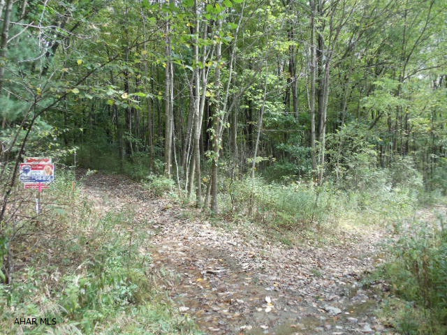 Other - Land